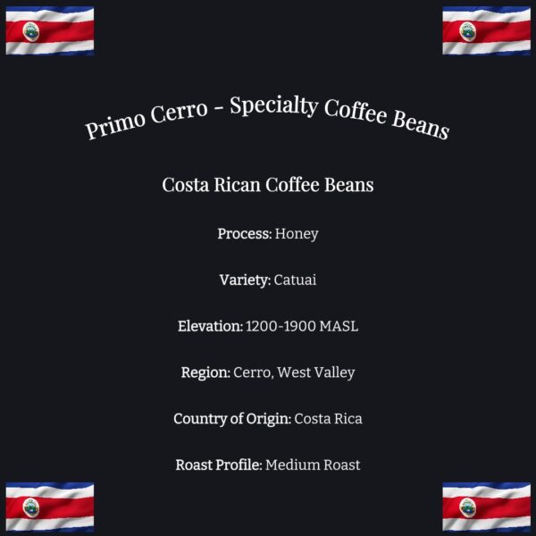 Costa Rica, Costa Rican Coffee, Costa Rican Coffee Beans, Premium Coffee Beans, Coffee Beans, Coffee Bundle, Premium Coffee, Echelon, Brew, Cold Brew, Espresso, Double Shot Espresso, Best Coffee, Best Coffee Beans, what are the best coffee beans?, Top Coffee Beans, Coffee Near Me, Buy coffee online, where to buy coffee beans?, specialty coffee, specialty coffee beans, coffee