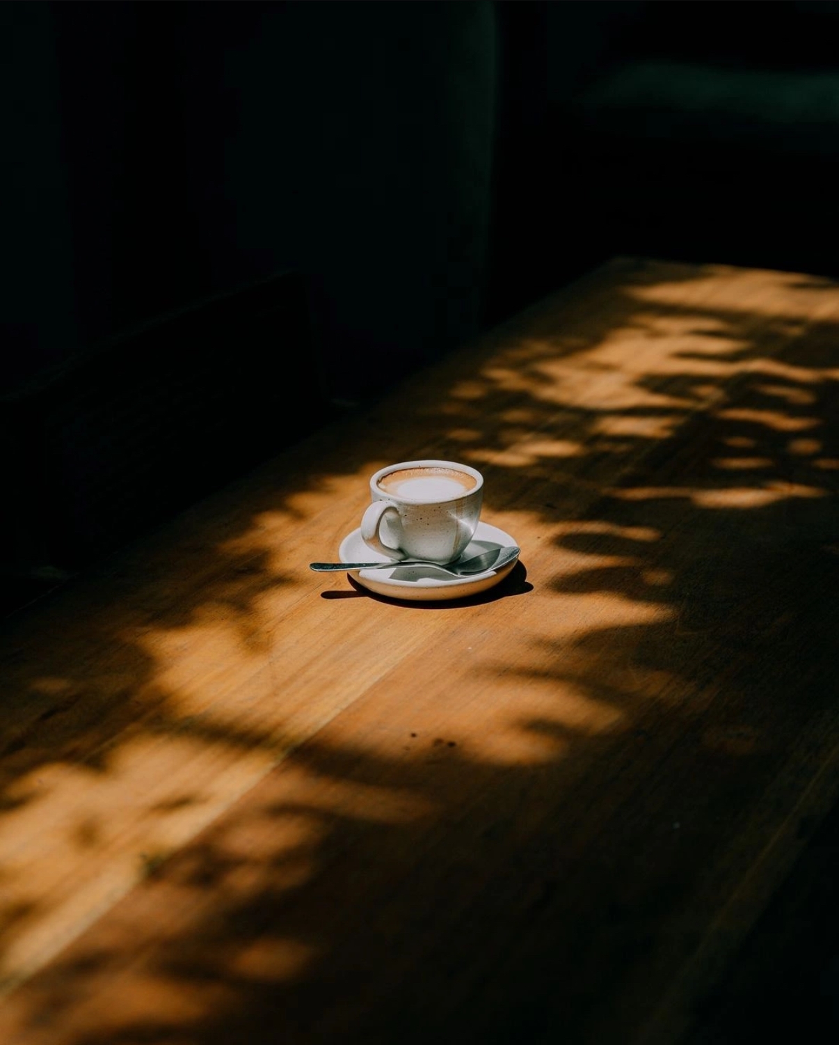 Primo Carmo - Premium Coffee Beans - Brazilian Coffee Beans - Image 6