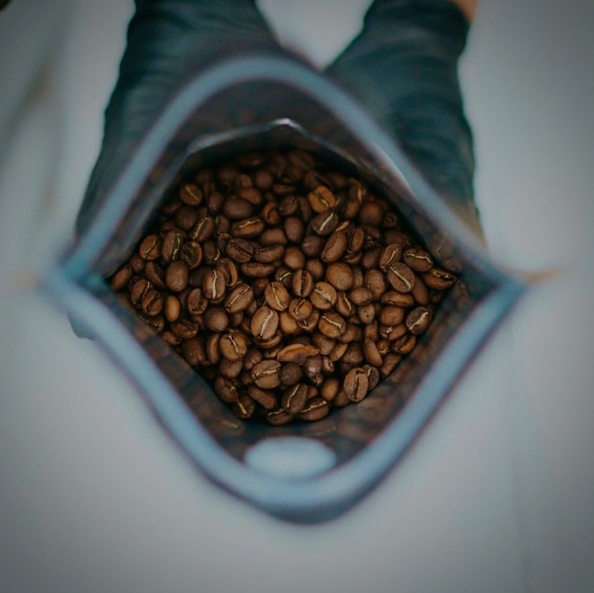 Echelon Brew whole coffee beans, Bag of coffee beans