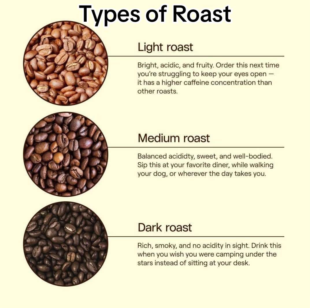 Primo Carmo - Premium Coffee Beans - Brazilian Coffee Beans - Image 8